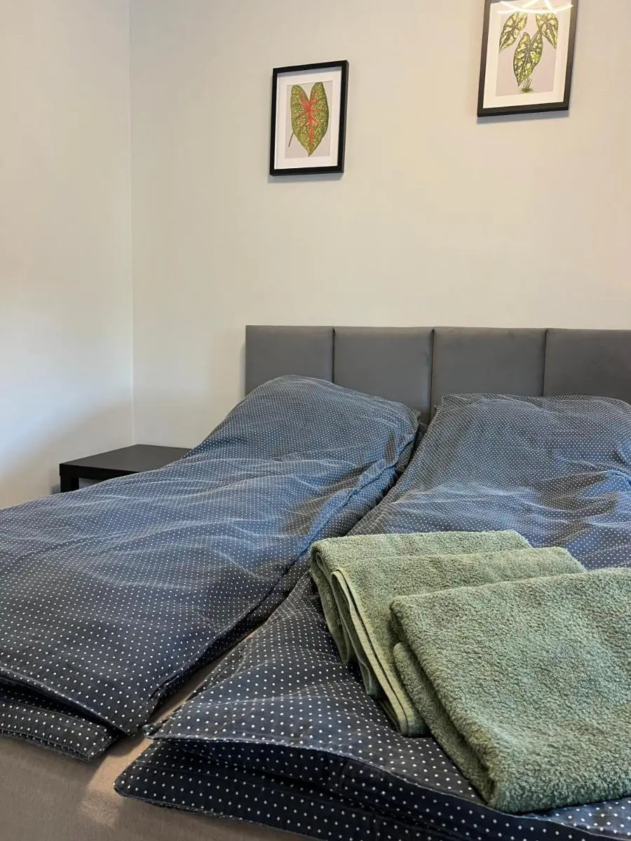 Image 3 of Apartament II z klimatyzacją