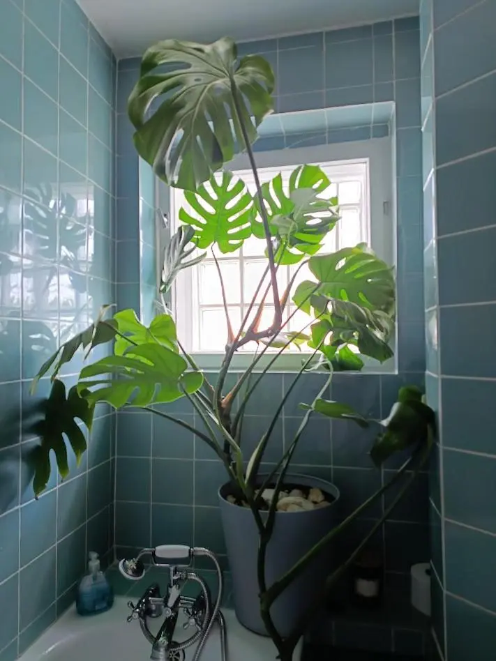 Image 3 of Apartament z widokiem na Teatr Wielki i EC1