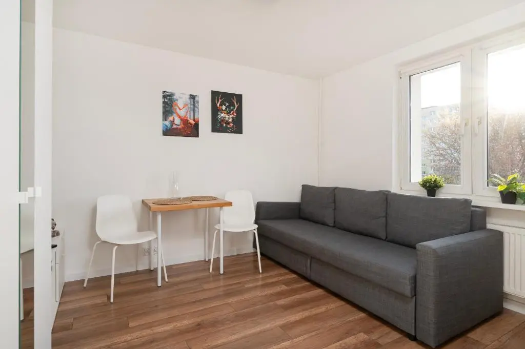 Image of Atlas Arena Comfort Studio