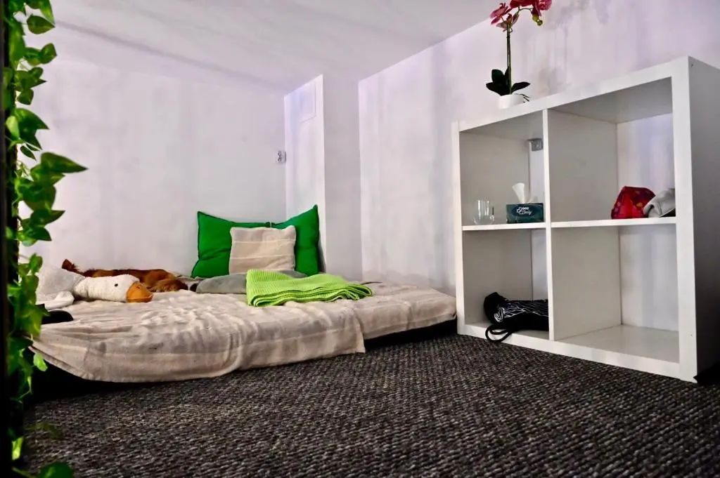 Image of BOOGIE Home