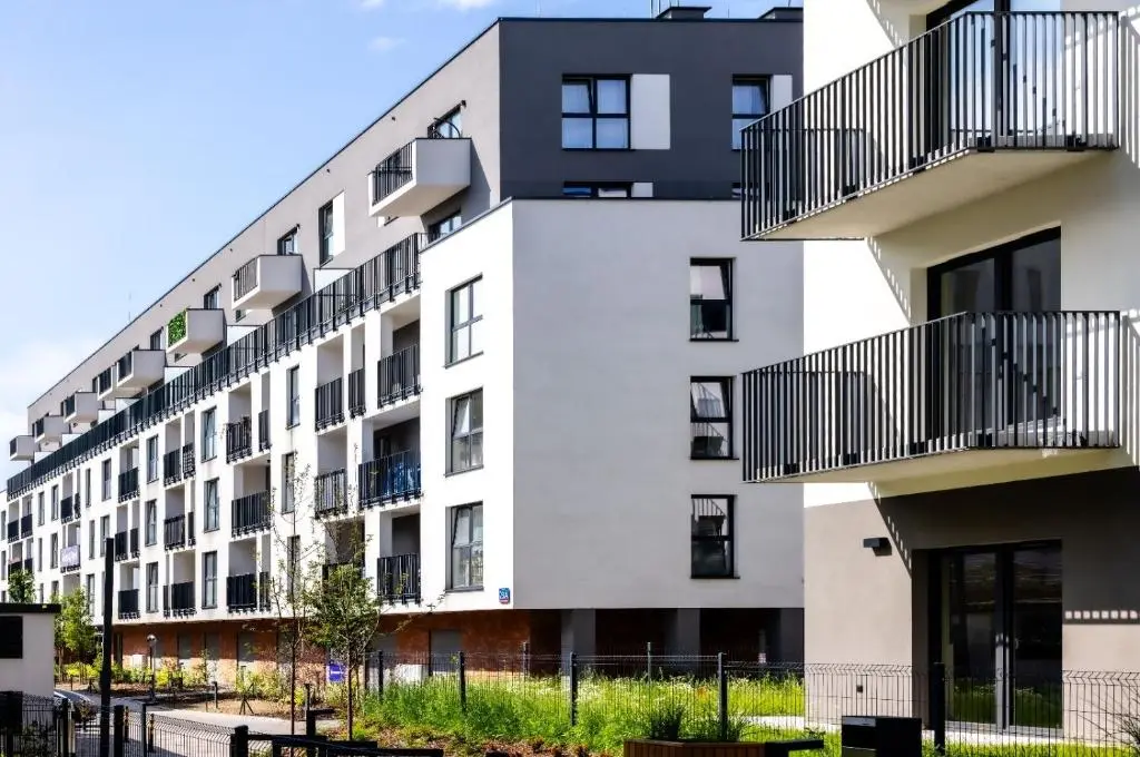 Image of Boho 4 by DreamAp