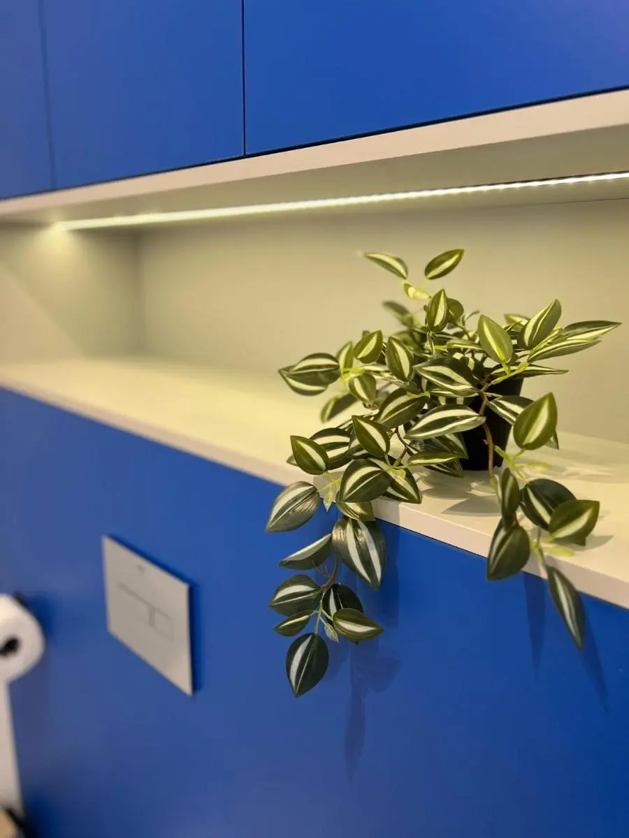 Image 4 of Boho 4 by DreamAp