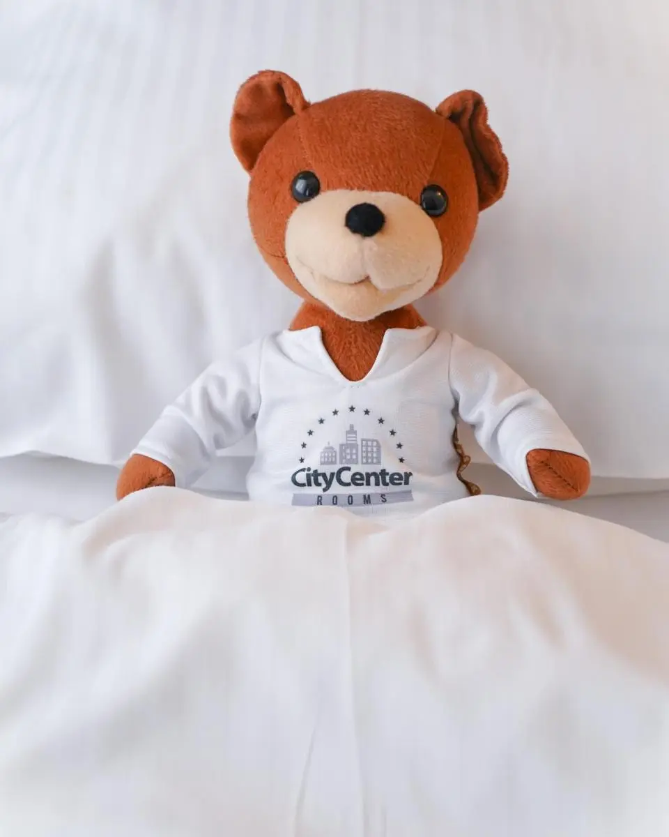 Image 5 of City Center Rooms Piotrkowska 91