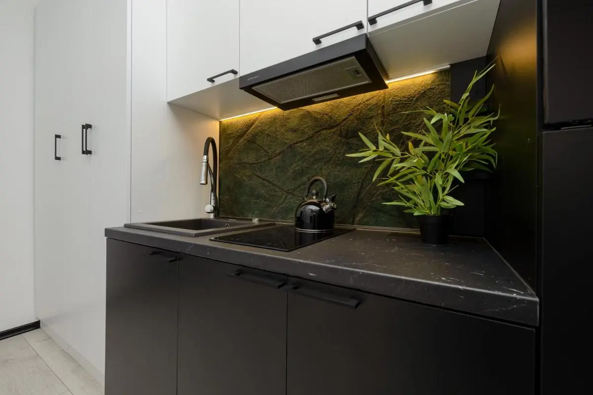 Image 1 of Cozy Studio Poznańska in Łódź by Noclegi Renters