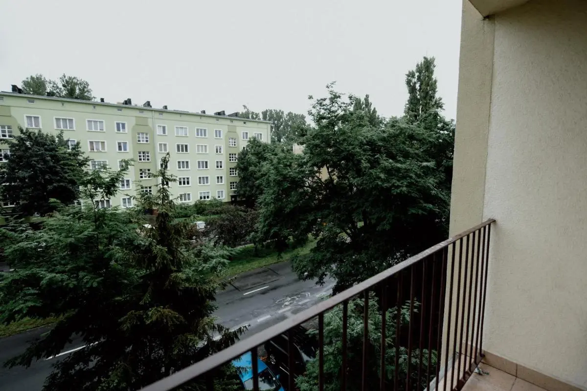 Image 5 of High Standard-University District