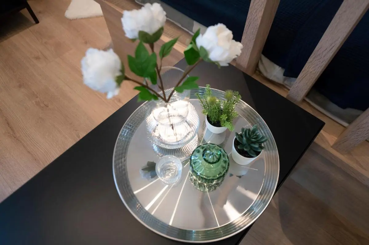 Image 6 of Kościuszki Green Apartment