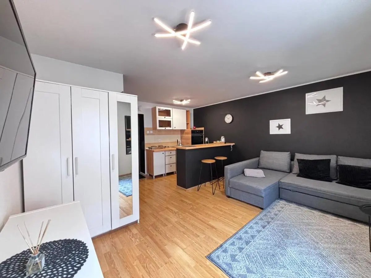 Image 1 of Lokal typu Studio 66