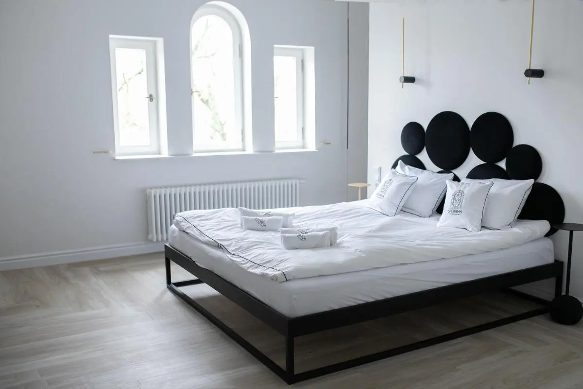 Image 2 of Srebrna Luxury Apartments – willa fabrykancka – wnętrza premium