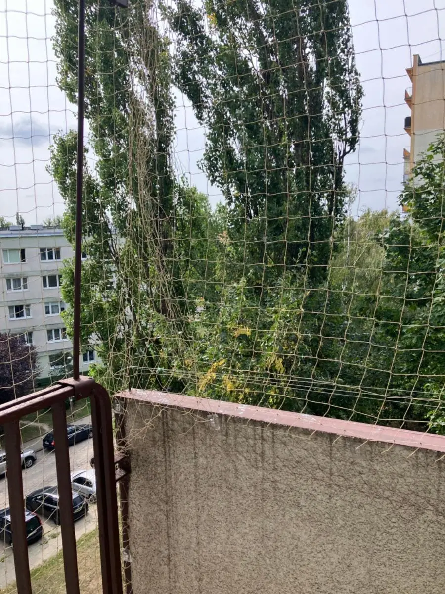 Image 4 of Studio Ciołkowskiego