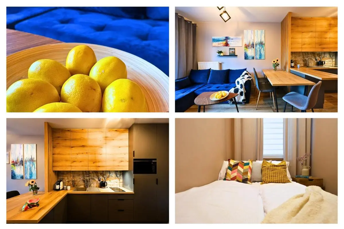 Image 1 of Wygodny apartament przy Uniwersytecie