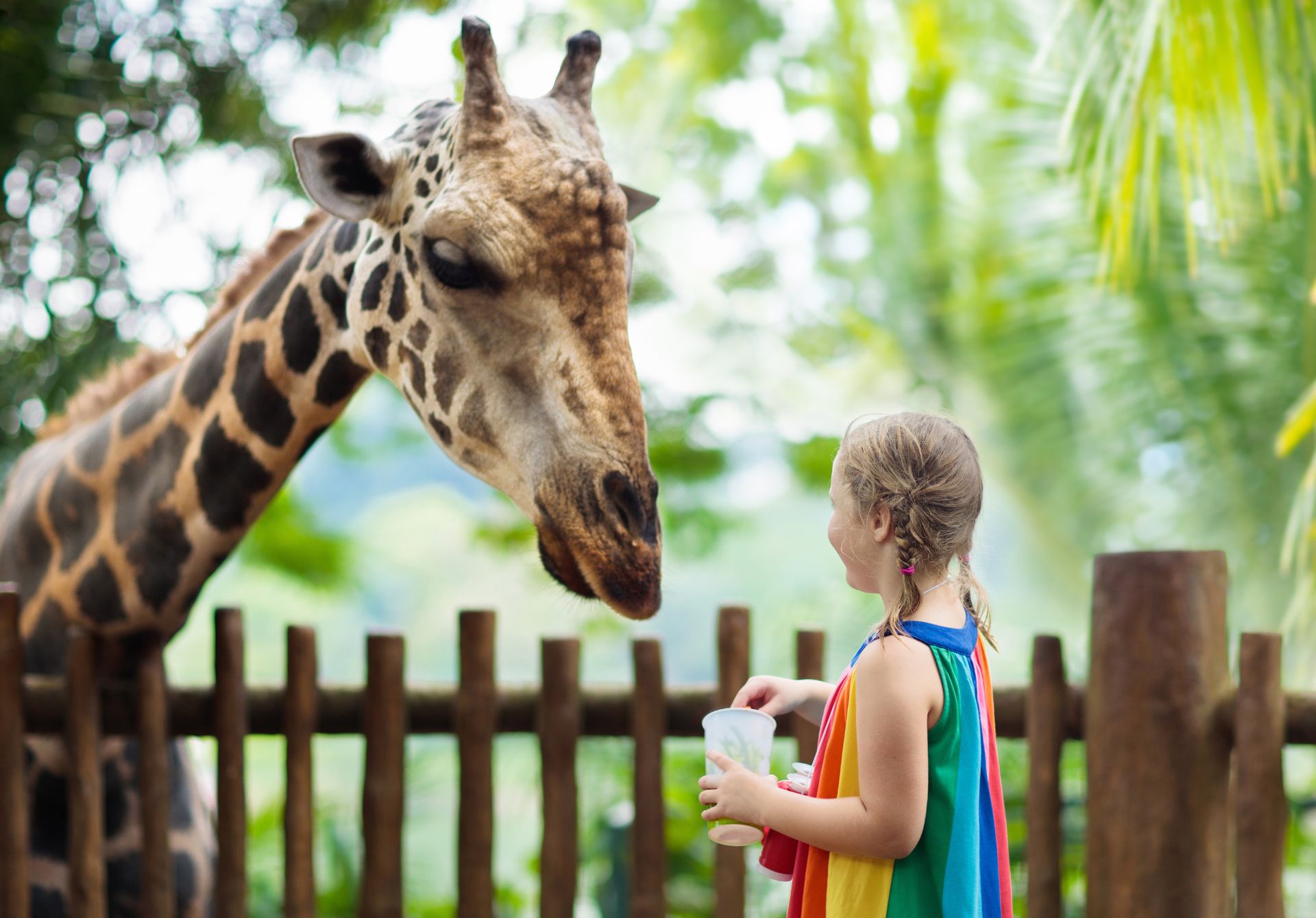 Łódź Zoo with Orientarium